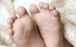 Wärme Link zum Thema Wärme